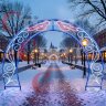 Морозоустойчивая световая арка "Птицы" красный/синий/белый